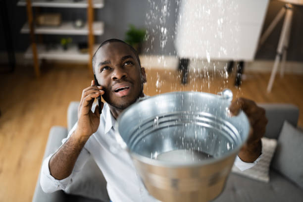 Best Flood restoration services  in Eagle, CO