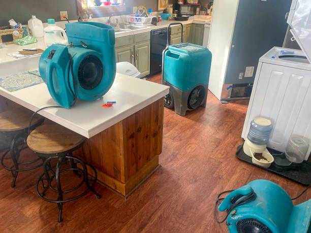Best Water damage restoration insurance claims  in Eagle, CO