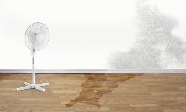 Best 24/7 water damage repair  in Eagle, CO