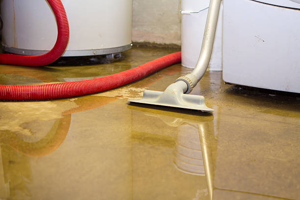 Best Sewage cleanup and water damage restoration  in Eagle, CO