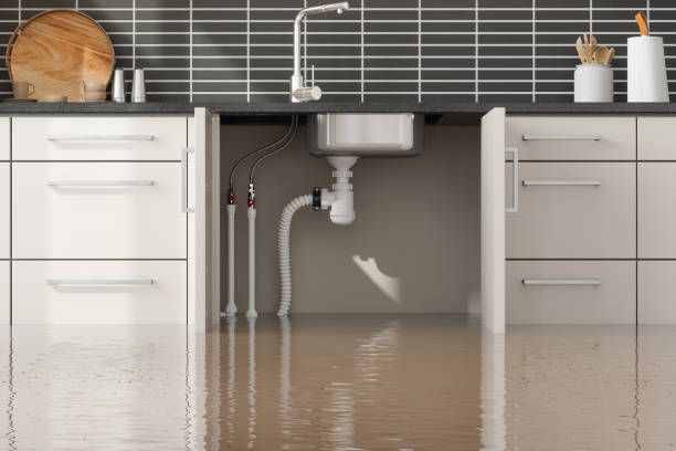 Best 24/7 water damage repair  in Eagle, CO