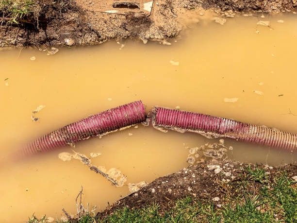  Eagle, CO Water damage restoration Pros