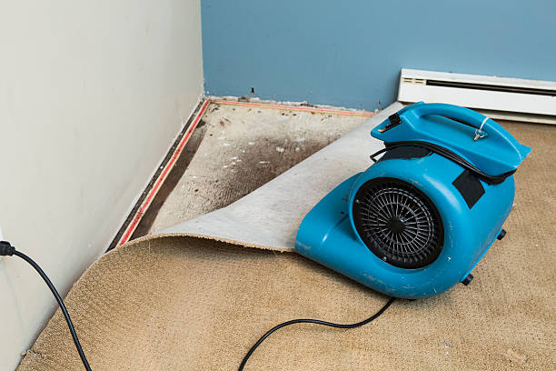 Best Residential water damage restoration  in Eagle, CO